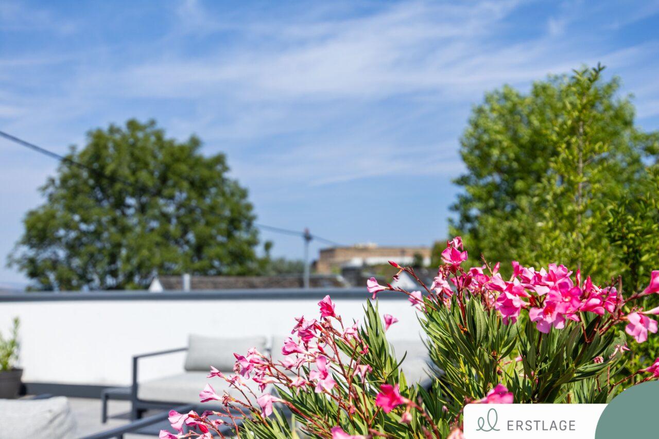 Detail mit Ausblick