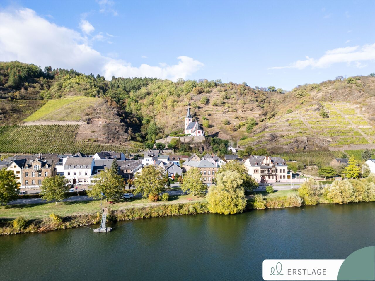 Moselblick