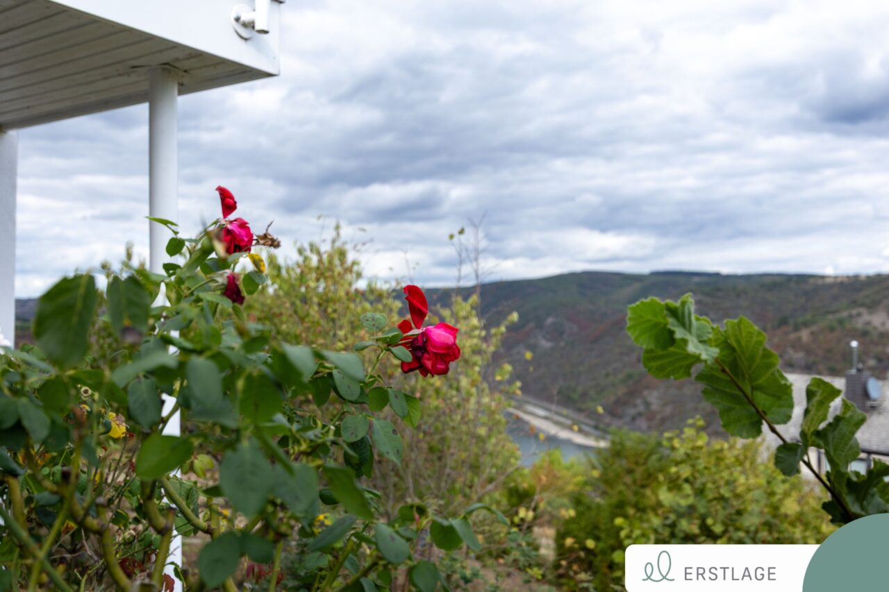 Aussicht